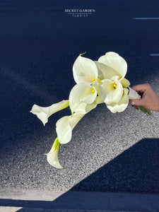 Ivory Calla