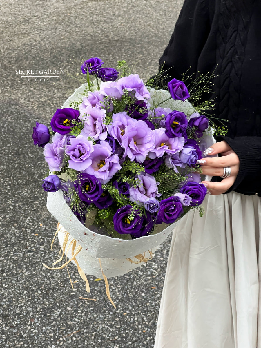 Violetta